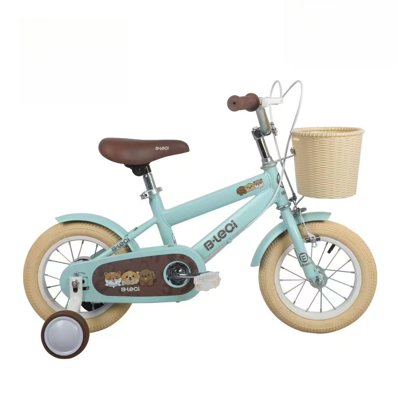 Bicicleta de Aprendizaje