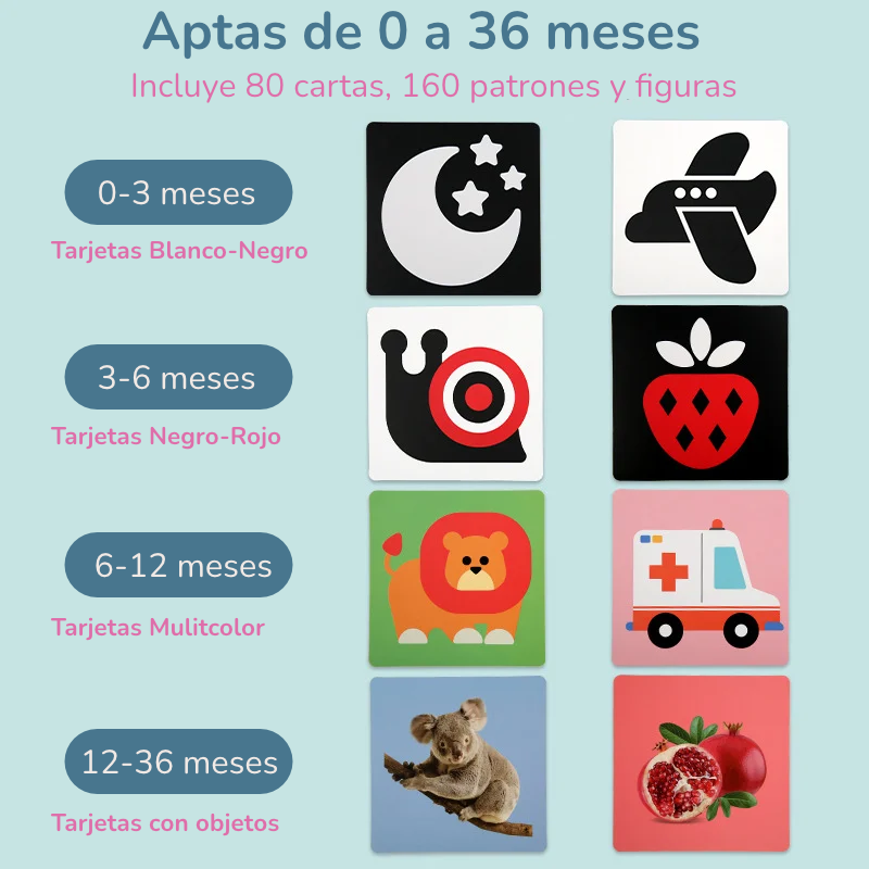 Tarjetas de Alto Contraste |  Método Montessori