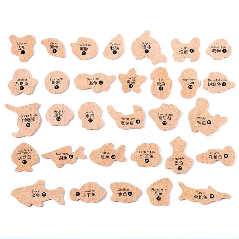 Juego de Pesca Magnética de Madera Montessori | Aprendizaje de Vida Marina