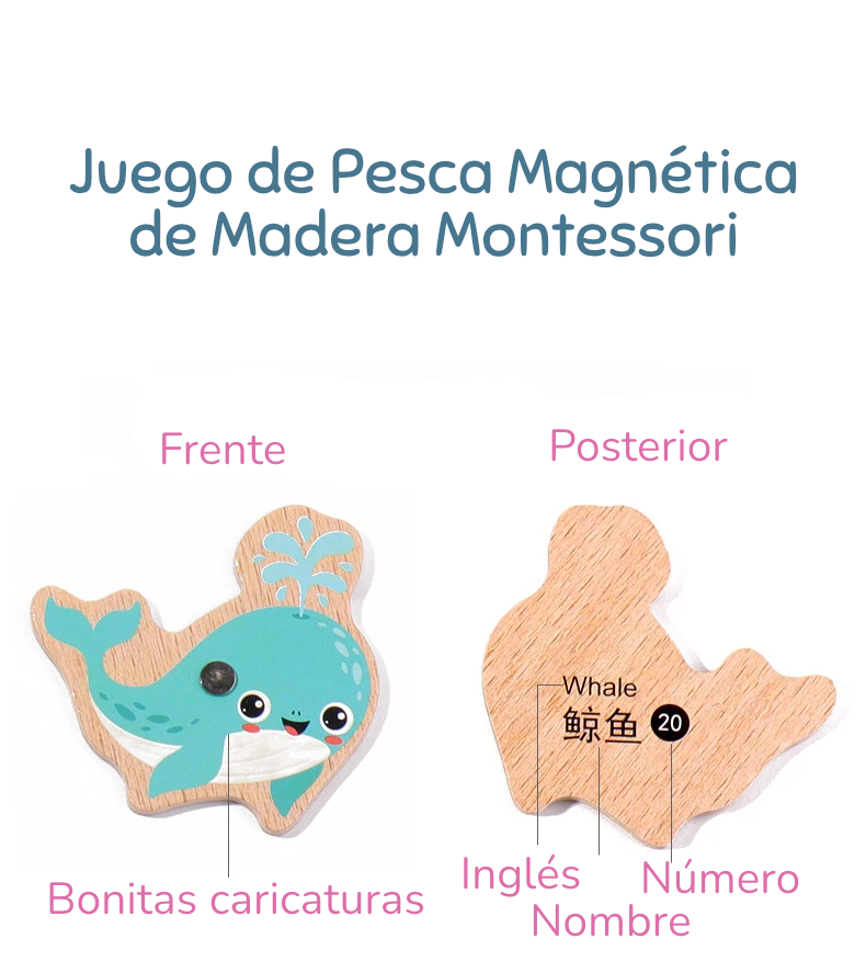 Juego de Pesca Magnética de Madera Montessori | Aprendizaje de Vida Marina