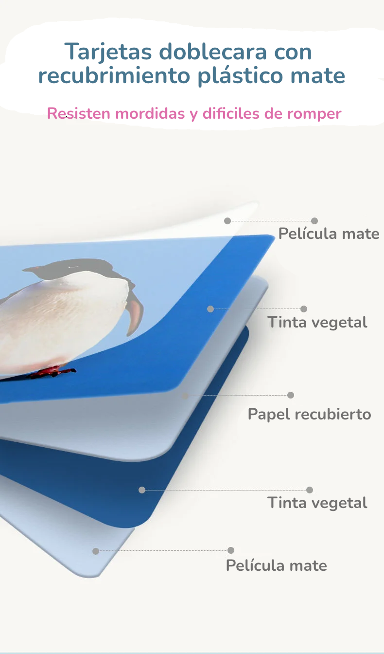 Tarjetas de Alto Contraste |  Método Montessori